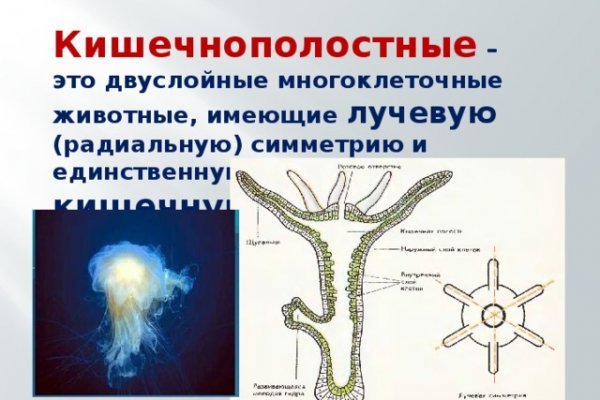 Кракен тор ссылка онион